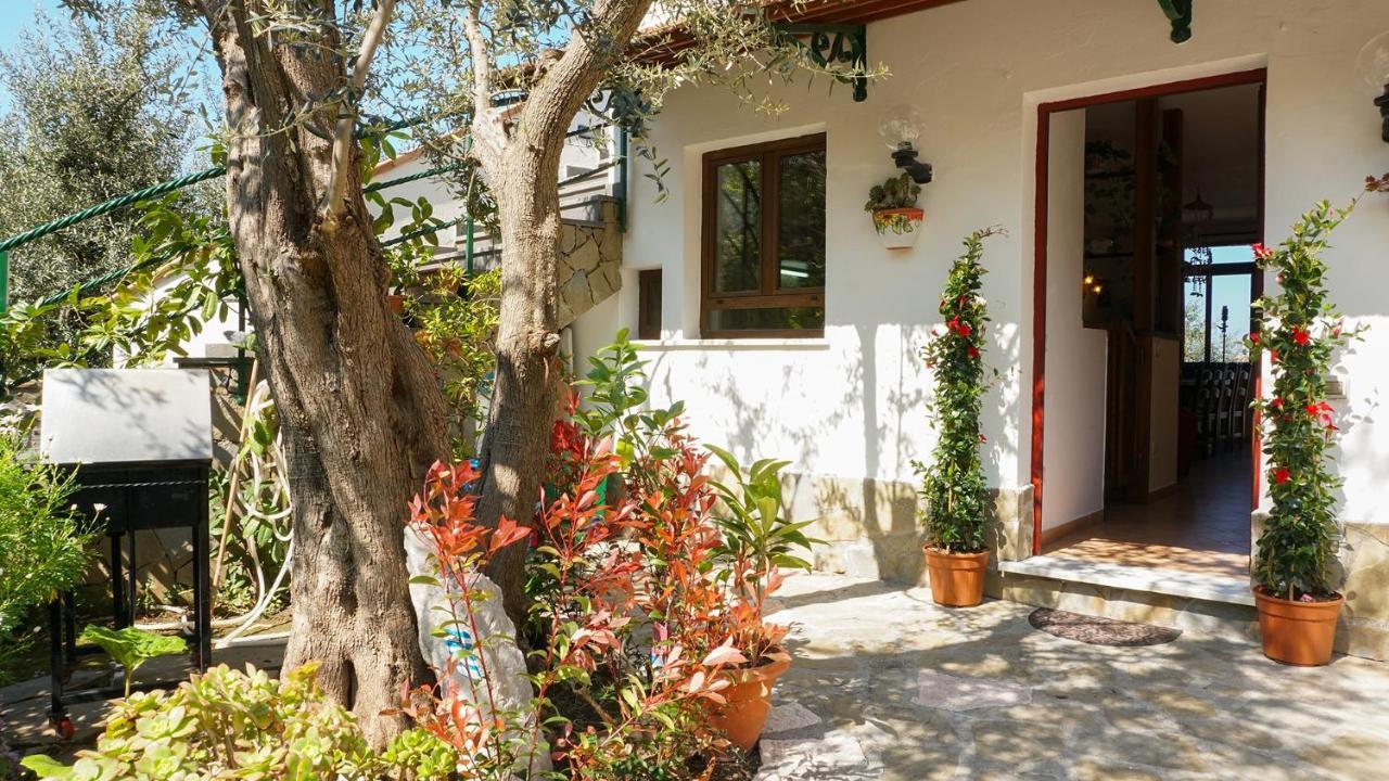 Marciano Amore Rentals - Casa Tatano מראה חיצוני תמונה