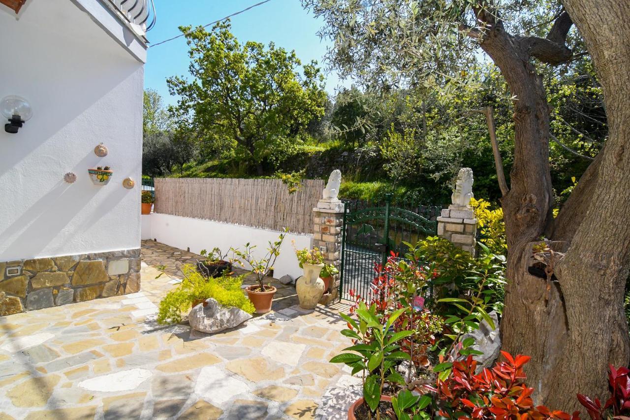 Marciano Amore Rentals - Casa Tatano מראה חיצוני תמונה